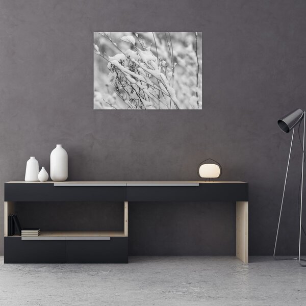 Obraz - Ośnieżone gałęzie (70x50 cm)