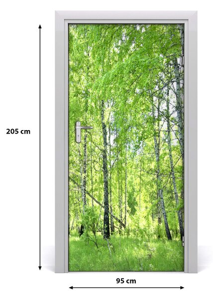 Naklejka fototapeta na drzwi Las brzozowy