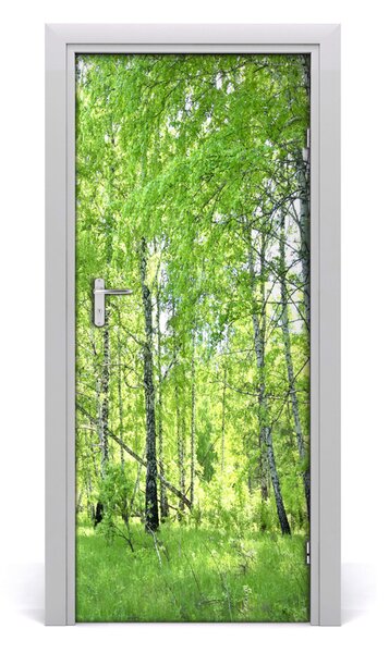Naklejka fototapeta na drzwi Las brzozowy