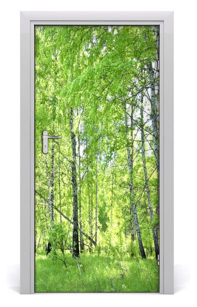 Naklejka fototapeta na drzwi Las brzozowy