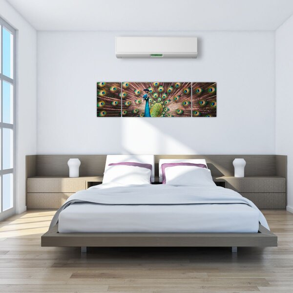 Obraz - Paw (170x50 cm)