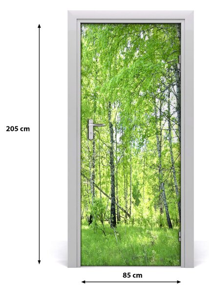 Naklejka fototapeta na drzwi Las brzozowy
