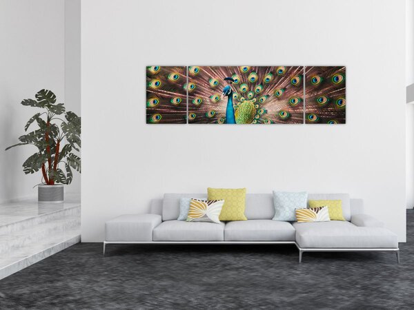 Obraz - Paw (170x50 cm)