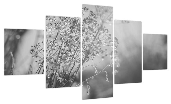 Obraz - Łąka po deszczu (125x70 cm)