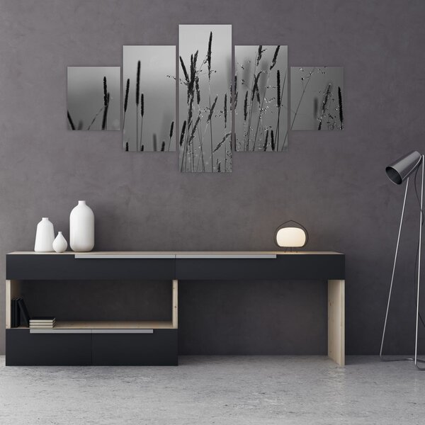 Obraz - źdźbła trawy (125x70 cm)