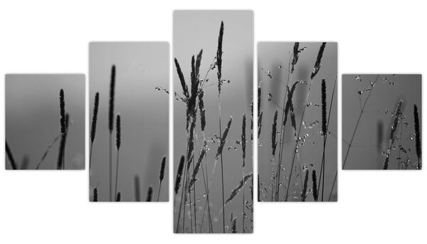 Obraz - źdźbła trawy (125x70 cm)