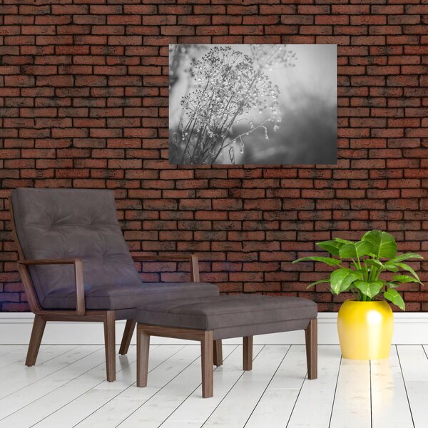 Obraz - Łąka po deszczu (70x50 cm)