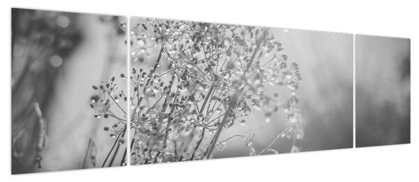 Obraz - Łąka po deszczu (170x50 cm)