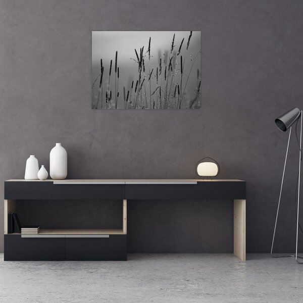 Obraz - źdźbła trawy (70x50 cm)