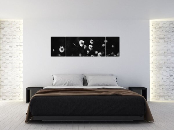 Obraz - Łąka z trawą bawełnianą N⁰1 (170x50 cm)