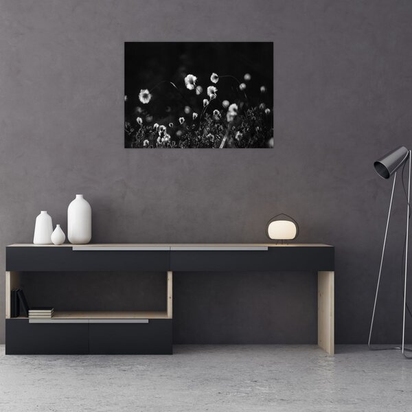 Obraz - Łąka z trawą bawełnianą N⁰1 (70x50 cm)