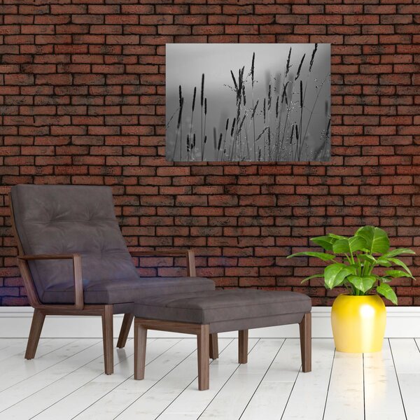 Obraz - źdźbła trawy (70x50 cm)