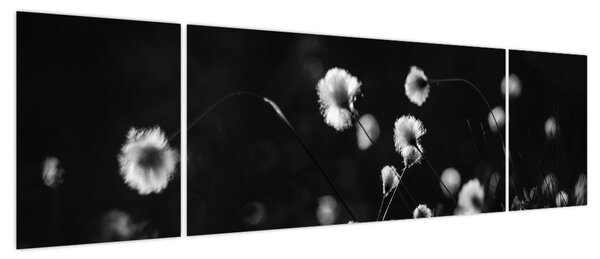 Obraz - Łąka z trawą bawełnianą N⁰1 (170x50 cm)