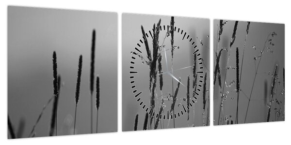 Obraz - źdźbła trawy (z zegarem) (90x30 cm)