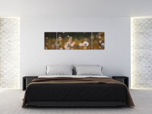 Obraz - Łąka z trawą bawełnianą N⁰2 (170x50 cm)