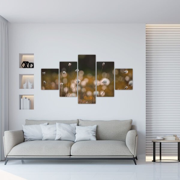Obraz - Łąka z trawą bawełnianą N⁰2 (125x70 cm)