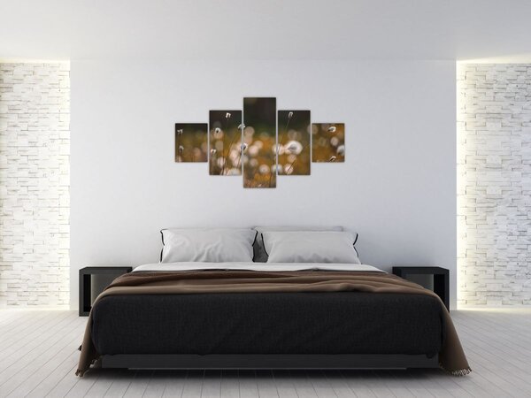 Obraz - Łąka z trawą bawełnianą N⁰2 (125x70 cm)