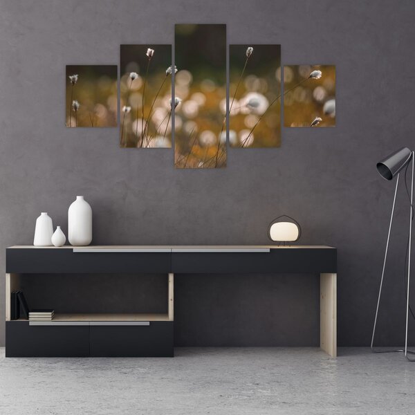 Obraz - Łąka z trawą bawełnianą N⁰2 (125x70 cm)