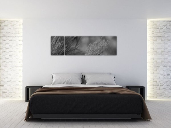 Obraz - Suszona trawa pampasowa (170x50 cm)