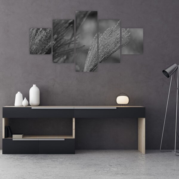 Obraz - Suszona trawa pampasowa (125x70 cm)