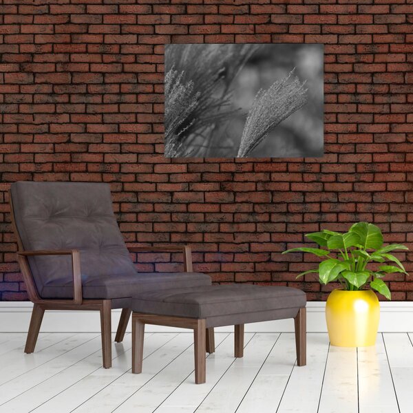Obraz - Suszona trawa pampasowa (70x50 cm)