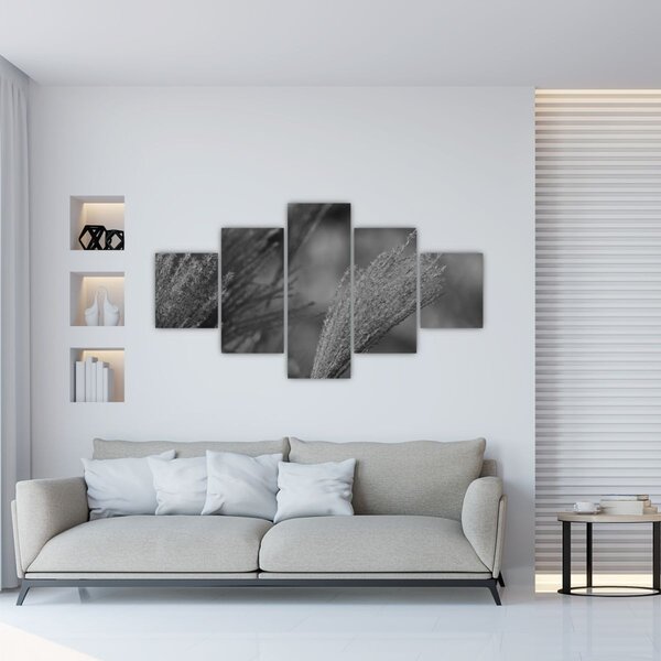 Obraz - Suszona trawa pampasowa (125x70 cm)