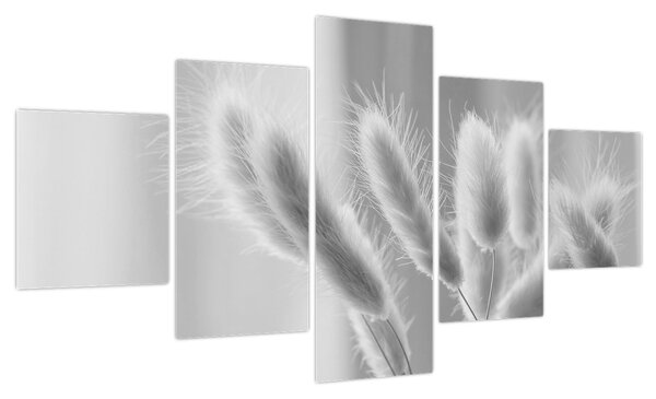 Obraz - Trawa z króliczym ogonkiem (125x70 cm)