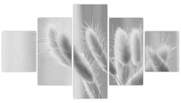 Obraz - Trawa z króliczym ogonkiem (125x70 cm)