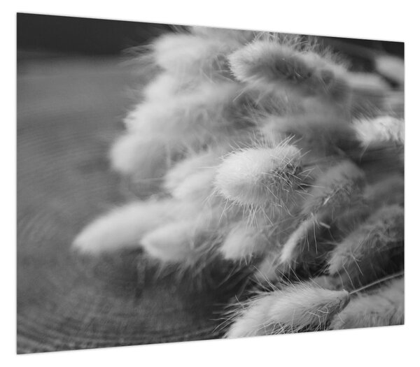 Obraz - trawa z króliczym ogonkiem na stole (70x50 cm)