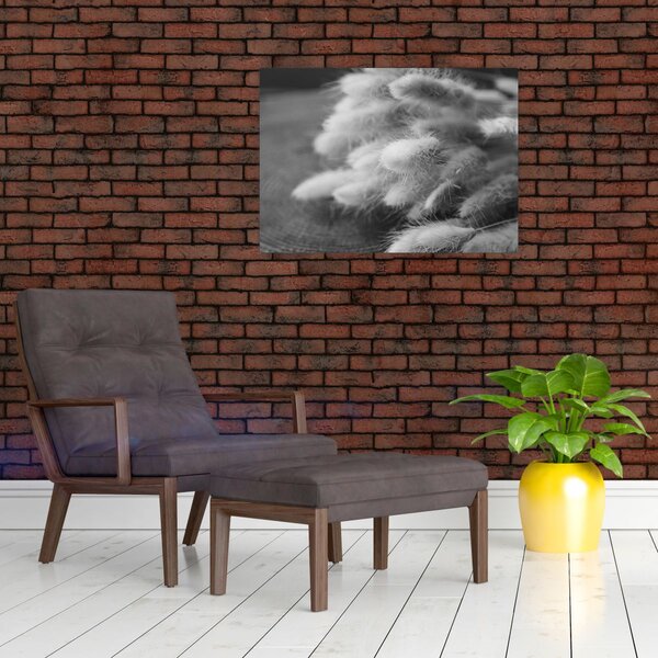 Obraz - trawa z króliczym ogonkiem na stole (70x50 cm)
