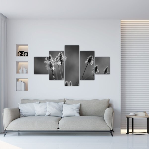 Obraz - Beżowa miękka trawa N⁰2 (125x70 cm)