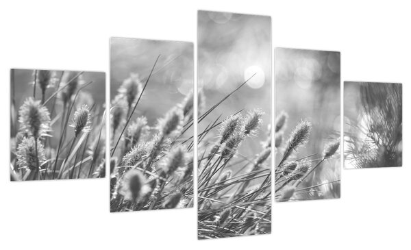 Obraz - Beżowa miękka trawa N⁰1 (125x70 cm)