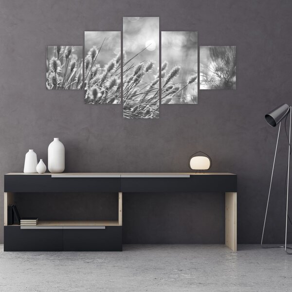 Obraz - Beżowa miękka trawa N⁰1 (125x70 cm)