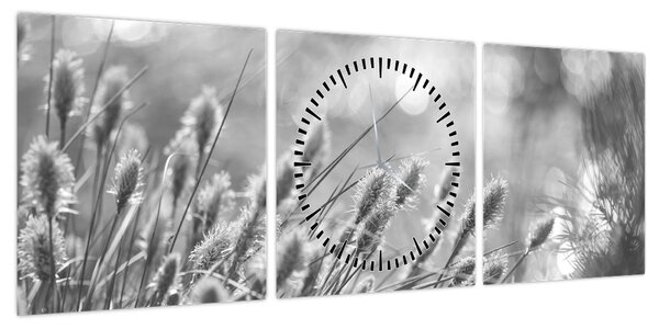 Obraz - Beżowa miękka trawa N⁰1 (z zegarem) (90x30 cm)