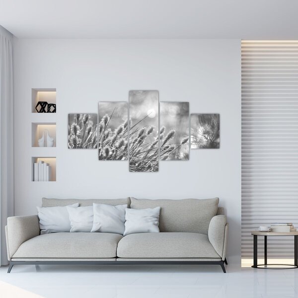 Obraz - Beżowa miękka trawa N⁰1 (125x70 cm)