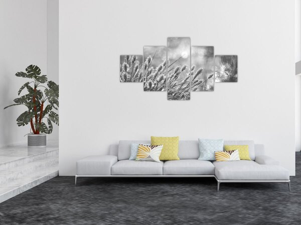 Obraz - Beżowa miękka trawa N⁰1 (125x70 cm)