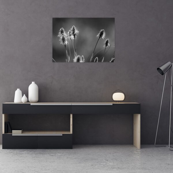 Obraz - Beżowa miękka trawa N⁰2 (70x50 cm)