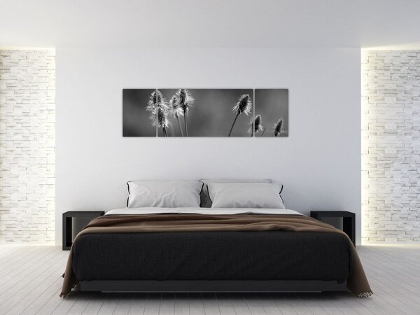 Obraz - Beżowa miękka trawa N⁰2 (170x50 cm)