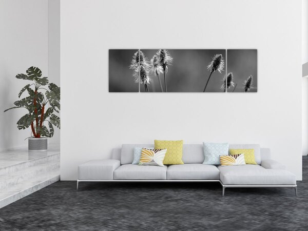 Obraz - Beżowa miękka trawa N⁰2 (170x50 cm)