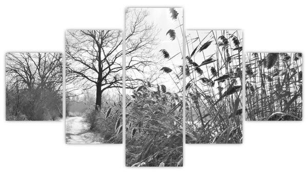 Obraz - Pola w zimie (125x70 cm)
