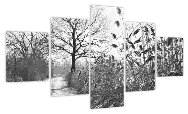 Obraz - Pola w zimie (125x70 cm)