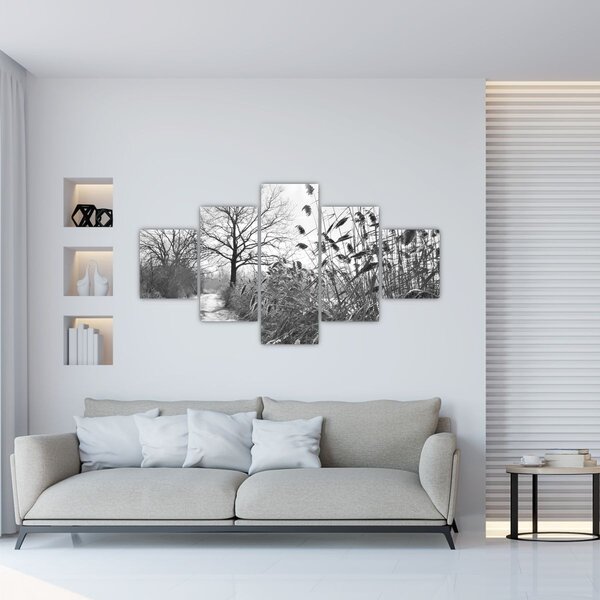 Obraz - Pola w zimie (125x70 cm)