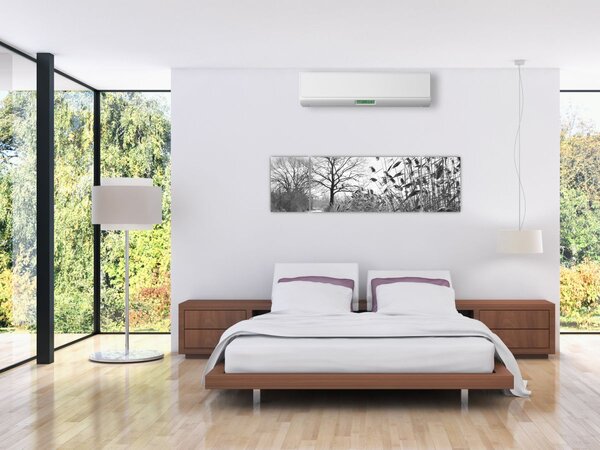Obraz - Pola w zimie (170x50 cm)