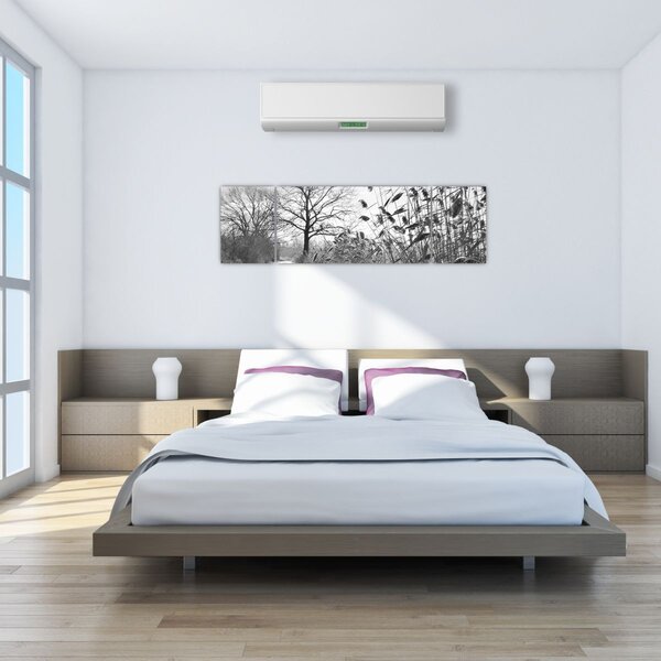 Obraz - Pola w zimie (170x50 cm)