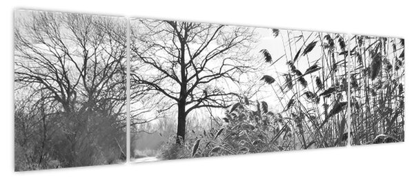 Obraz - Pola w zimie (170x50 cm)