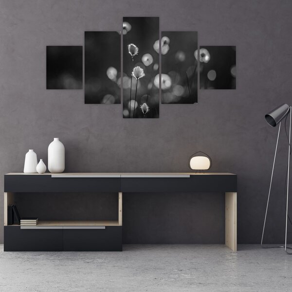 Obraz - Trawa bawełniana na łące (125x70 cm)