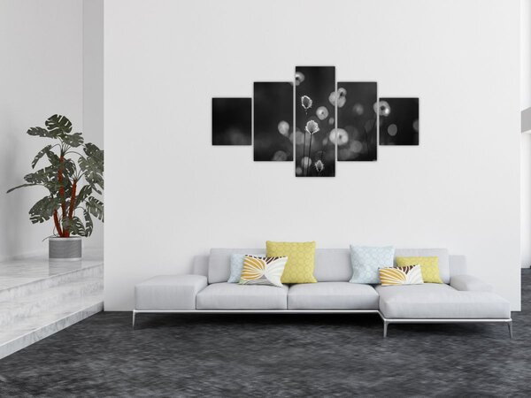 Obraz - Trawa bawełniana na łące (125x70 cm)