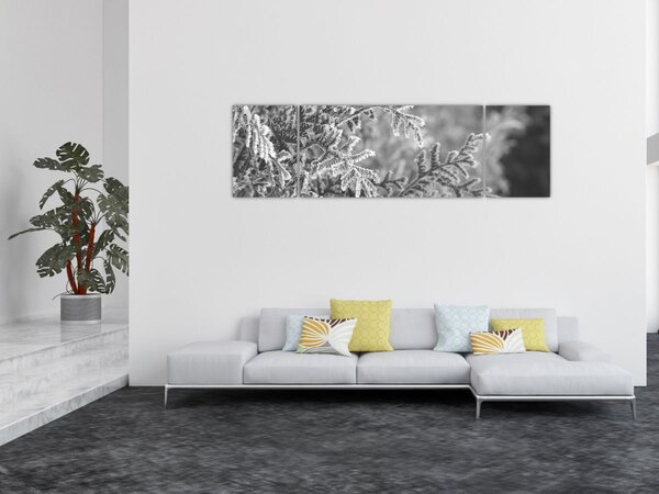 Obraz - Las świerkowy (170x50 cm)