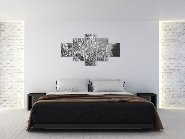 Obraz - Las świerkowy (125x70 cm)