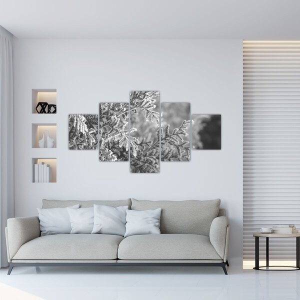 Obraz - Las świerkowy (125x70 cm)